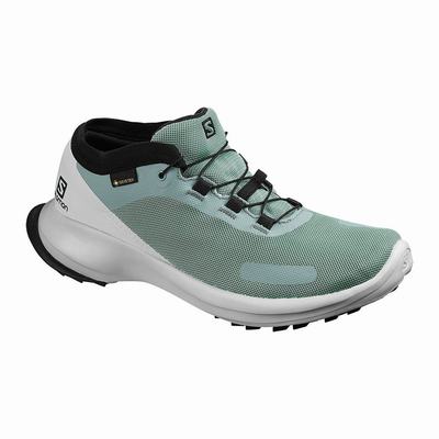 Dámské Trailové Boty Salomon SENSE FEEL GTX W Zelene/Blankyt SA63104-589
